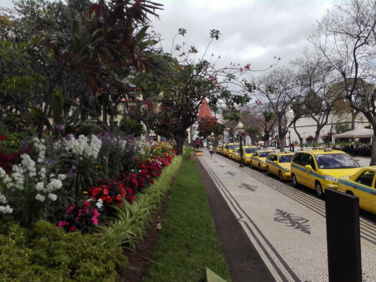 Funchal - View * Funchal (Madeira)